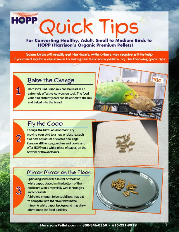 Quick Tips For Converting Birds to Pellets
